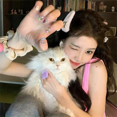 斑马人2：斑马城的逆袭